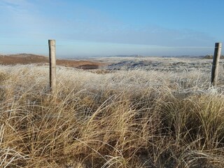 Bungalow Callantsoog Ambiente 35