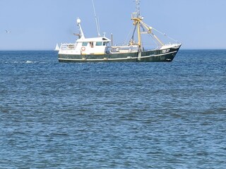 Bungalow Callantsoog Ambiente 37