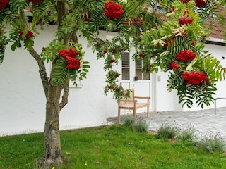Fassade / Eingang