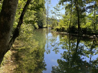 Tobelweg bei Gunzesried