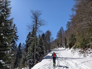 Götschenkopf