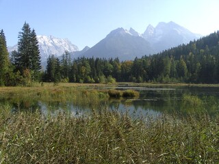 Taubensee