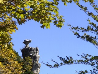 Steinerne Agnes