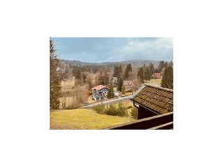 Ferienhaus Hahnenklee Außenaufnahme 6