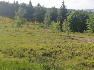 Holiday house Beulotte-Saint-Laurent Environment 28