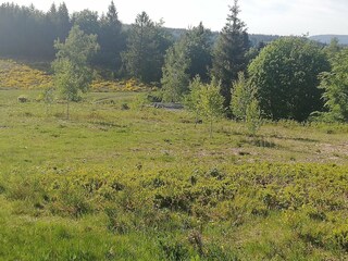 Casa per le vacanze Beulotte-Saint-Laurent Ambiente 23