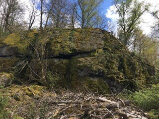 Holiday house Beulotte-Saint-Laurent Environment 35