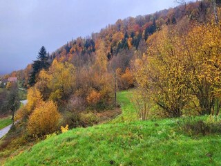 Casa per le vacanze Beulotte-Saint-Laurent Ambiente 29