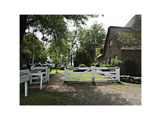 Gartenblick