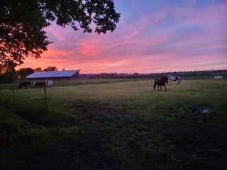 Vakantiehuis Lütjenholm Omgeving 35