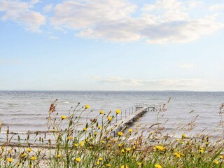 Vakantiehuis Købingsmark  8
