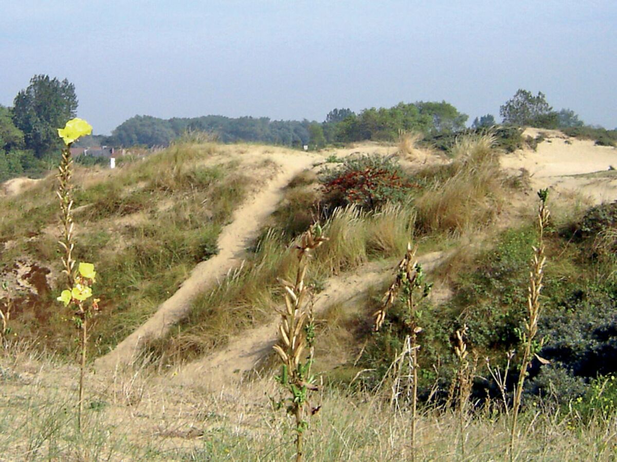 Chalet Nieuwpoort Umgebung 23