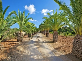 Villa Cala Murada Buitenaudio-opname 11