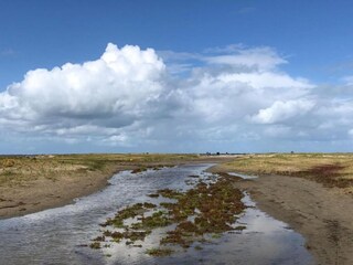Casa per le vacanze Goedereede Ambiente 28