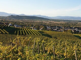 Ferienwohnung Endingen am Kaiserstuhl Umgebung 17