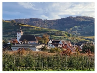 Ferienwohnung Endingen am Kaiserstuhl Umgebung 20