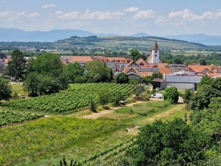 Ferienwohnung Endingen am Kaiserstuhl Umgebung 18