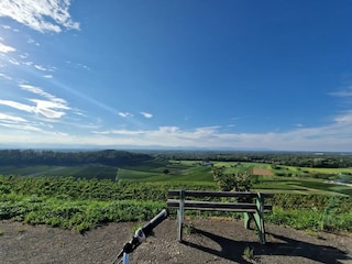 Ferienwohnung Endingen am Kaiserstuhl Umgebung 24