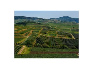 Ferienwohnung Endingen am Kaiserstuhl Umgebung 30