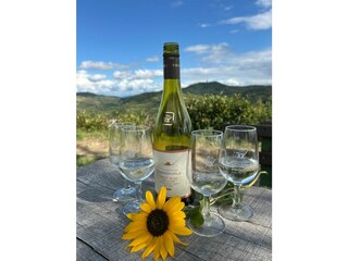 Ferienwohnung Endingen am Kaiserstuhl Umgebung 26