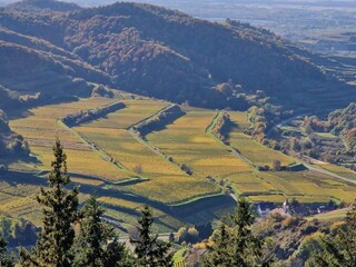 Ferienwohnung Endingen am Kaiserstuhl Umgebung 31