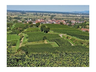 Ferienwohnung Endingen am Kaiserstuhl Umgebung 23