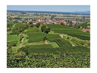 Ferienwohnung Endingen am Kaiserstuhl Umgebung 24
