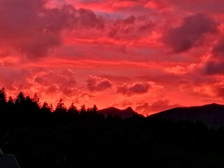 IMG_20210629_210928