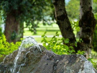 Felsenbrunnen-auwirt