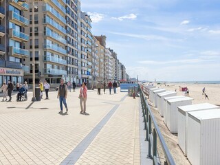 Apartment Middelkerke Environment 16