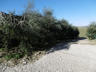 Appartamento Fermo (Stadt) Registrazione all'aperto 9