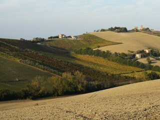 Holiday house Fermo (Stadt) Environment 21