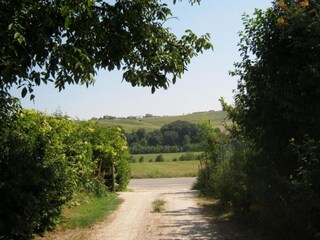 Holiday house Fermo (Stadt) Environment 26