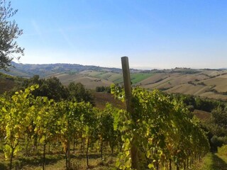 Holiday house Fermo (Stadt) Environment 27