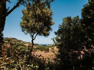 Holiday house Fermo (Stadt) Environment 24
