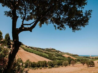 Holiday house Fermo (Stadt) Environment 30