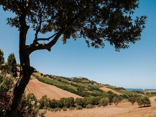 Maison de vacances Fermo (Stadt) Environnement 34