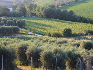 Holiday house Fermo (Stadt) Environment 35