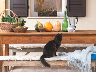 Holiday house Fermo (Stadt)  38