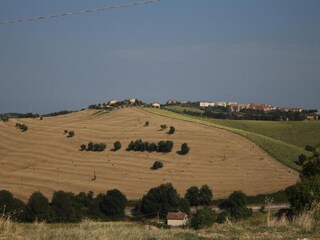 Apartment Fermo (Stadt) Environment 24