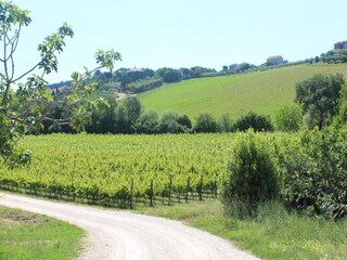 Appartement Fermo (Stadt) Omgeving 26