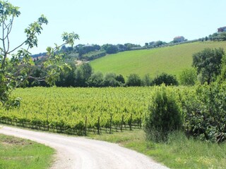 Appartement Fermo (Stadt) Omgeving 20