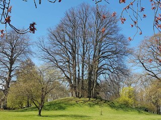 Vakantiehuis Enø  27