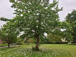 Vakantiehuis Enø  33