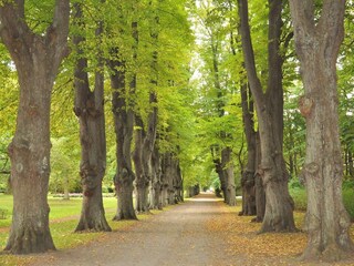 Vakantiehuis Enø  30