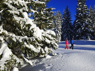 Appartamento per vacanze Reit im Winkl Registrazione all'aperto 8