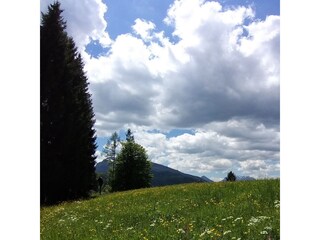 Vakantieappartement Reit im Winkl Buitenaudio-opname 15