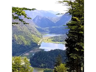 Appartamento per vacanze Reit im Winkl Ambiente 38