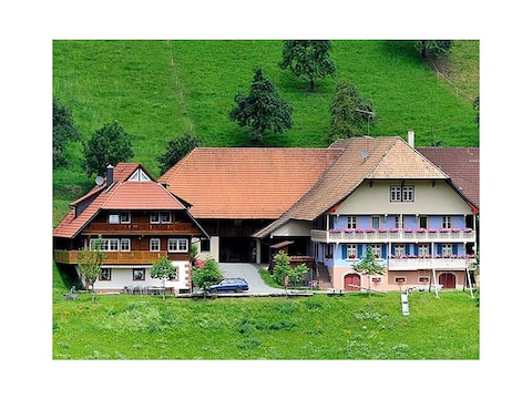 Ferienwohnung Riehle
