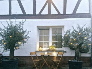 Holiday apartment Koblenz Outdoor Recording 10